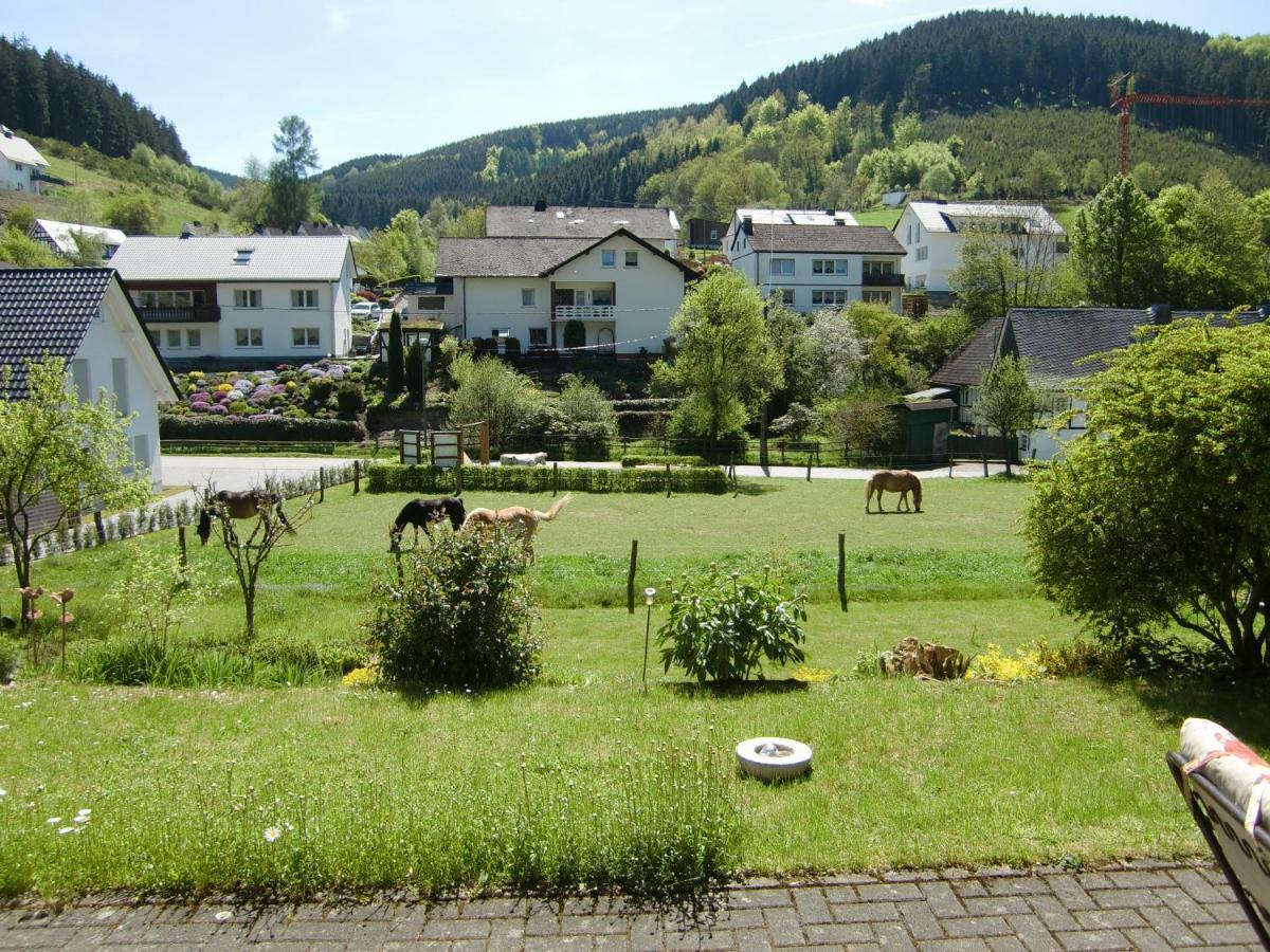 Ferienwohnung Lenne Schmallenberg Esterno foto